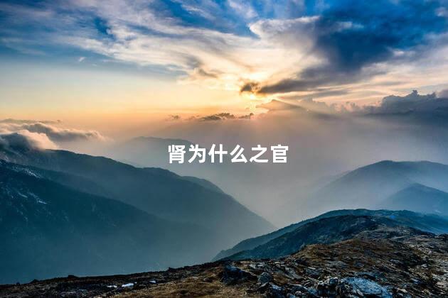 肾为什么之官