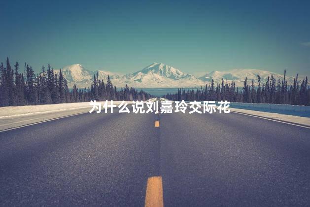 为什么说刘嘉玲交际花