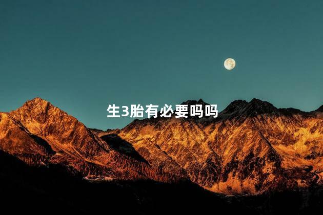 生3胎有必要吗吗