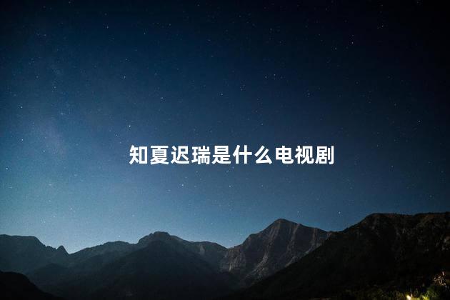 知夏迟瑞是什么电视剧