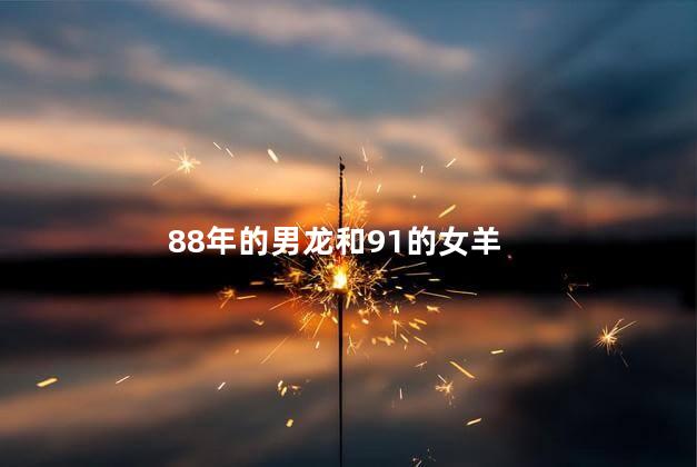 88年的男龙和91的女羊