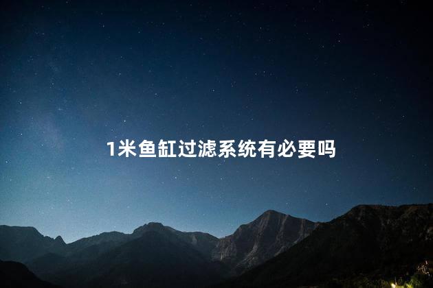 1米鱼缸过滤系统有必要吗