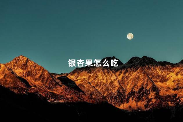 银杏果怎么吃