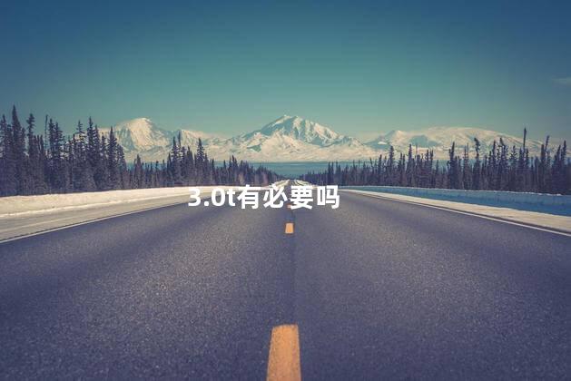 3.0t有必要吗