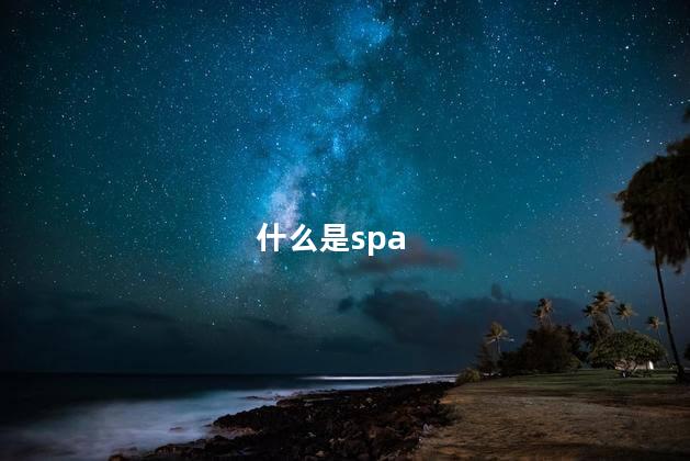 什么是spa