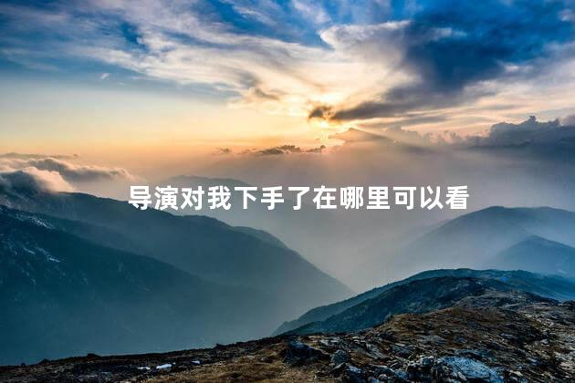 导演对我下手了在哪里可以看