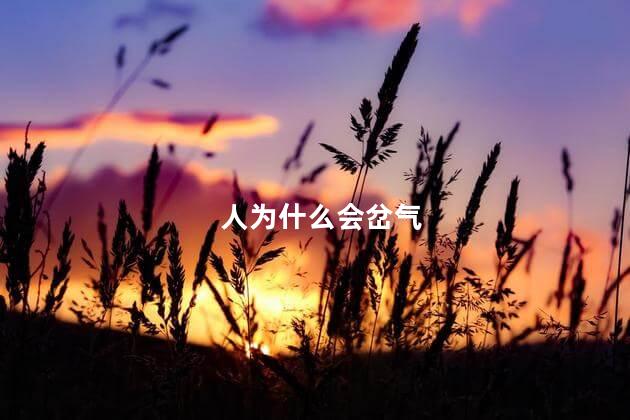 人为什么会岔气