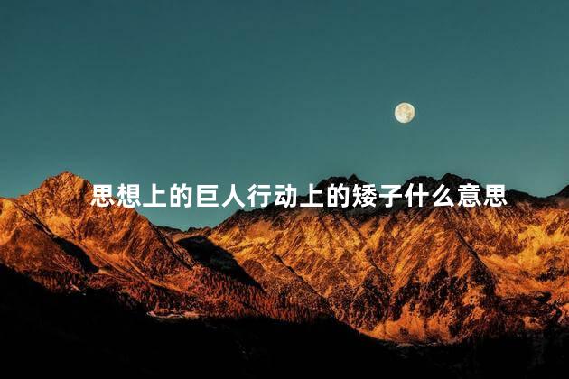 思想上的巨人行动上的矮子什么意思
