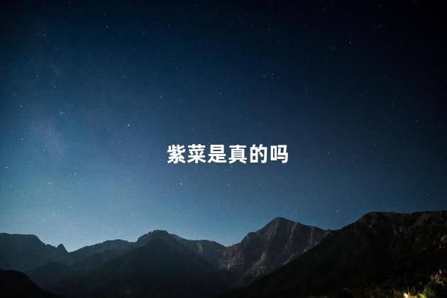 紫菜是真的吗