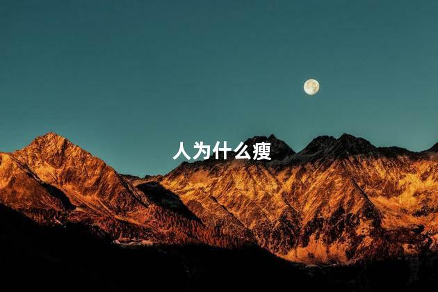 人为什么瘦