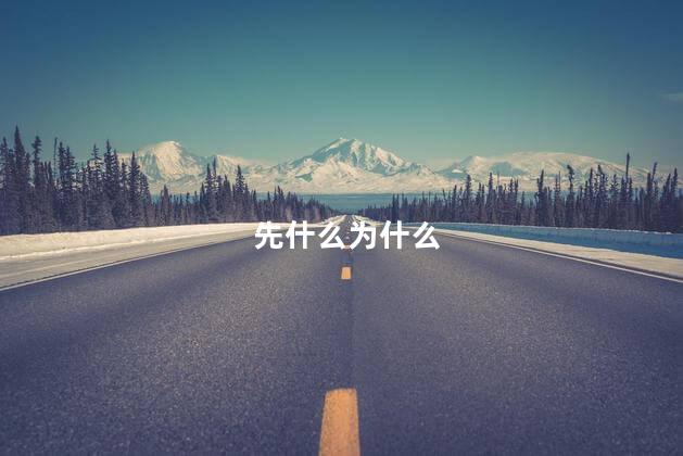 先什么为什么