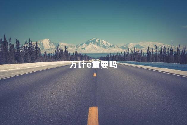 万叶e重要吗