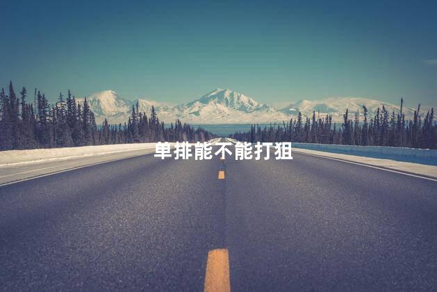 单排能不能打狙