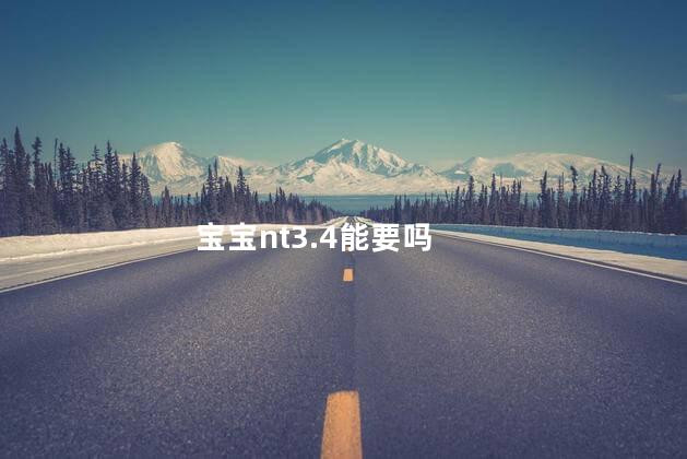 宝宝nt3.4能要吗