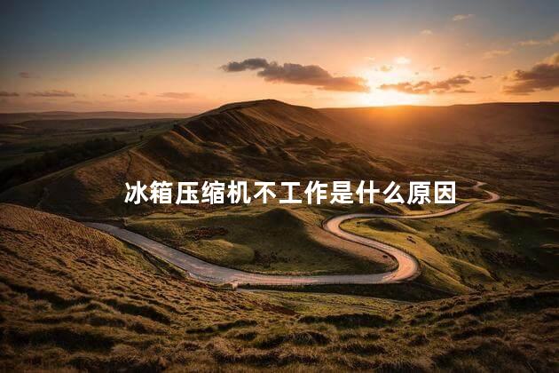 冰箱压缩机不工作是什么原因