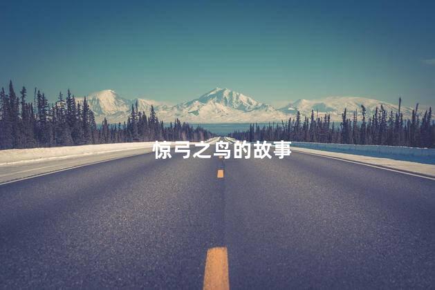 惊弓之鸟的故事