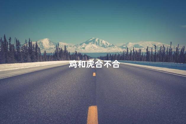 鸡和虎合不合