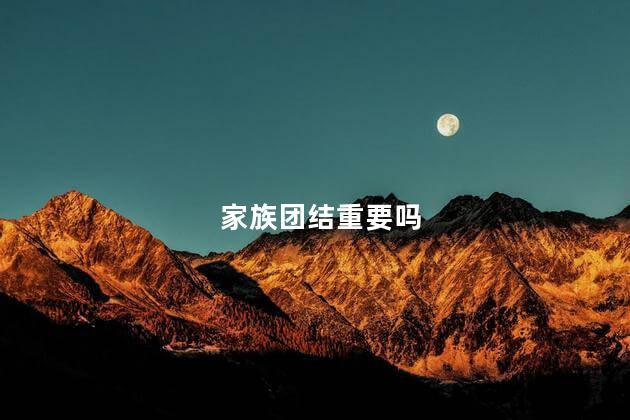 家族团结重要吗