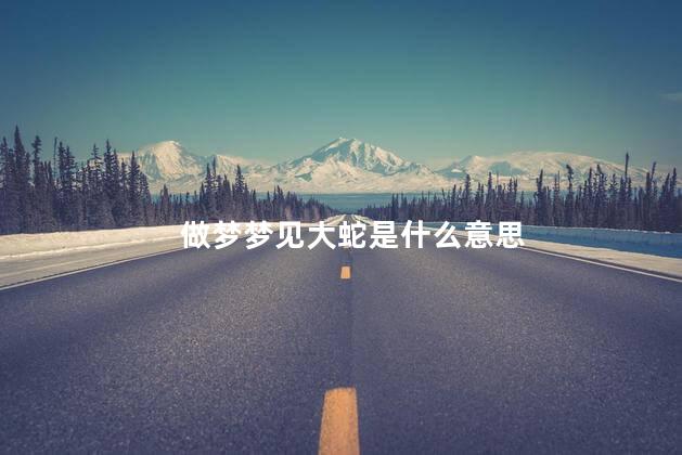 做梦梦见大蛇是什么意思