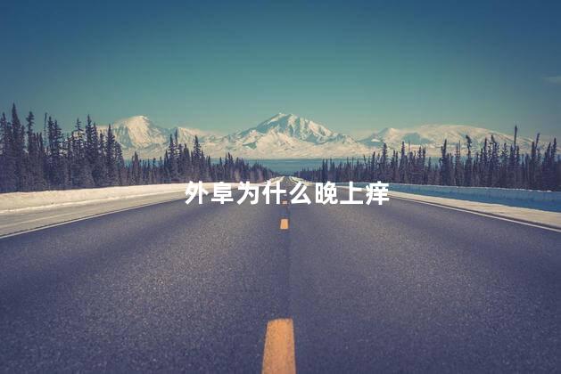 外阜为什么晚上痒