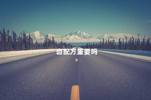 卤配方重要吗