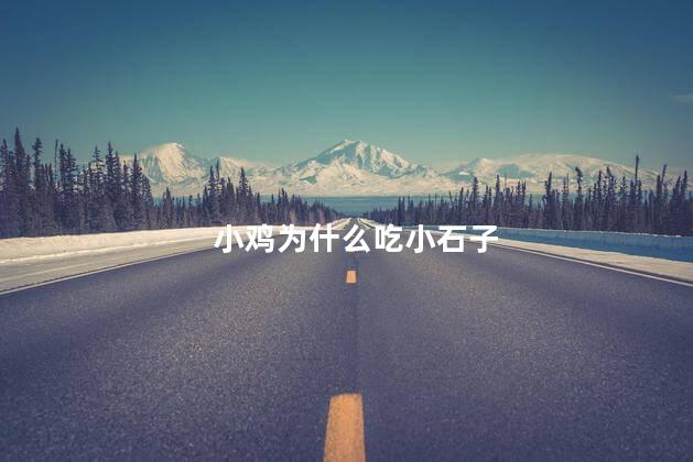 小鸡为什么吃小石子