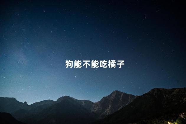 狗能不能吃橘子