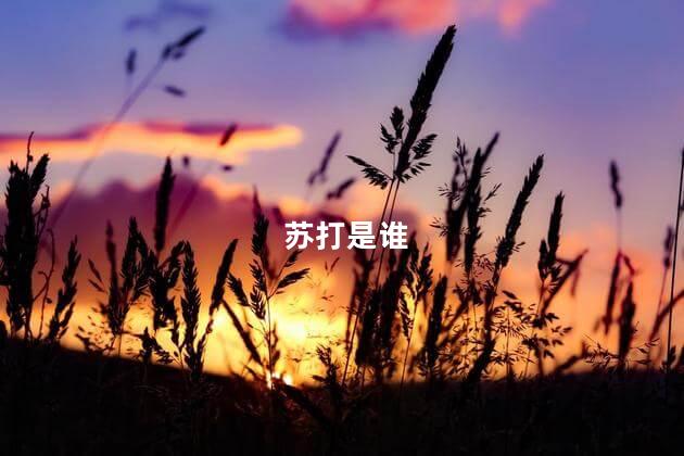 苏打是谁