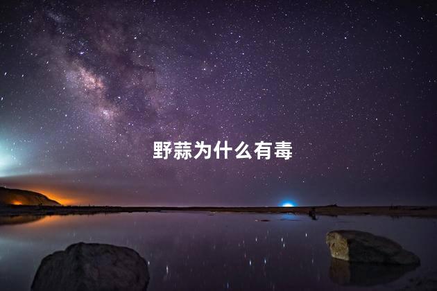 野蒜为什么有毒