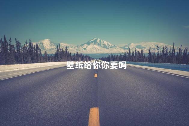 壁纸给你你要吗