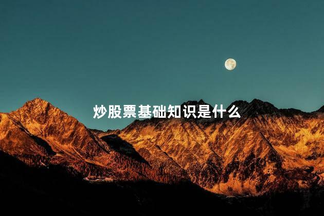 炒股票基础知识是什么