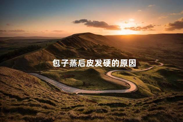 包子蒸后皮发硬的原因