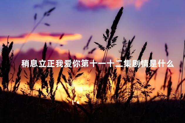 稍息立正我爱你第十一十二集剧情是什么