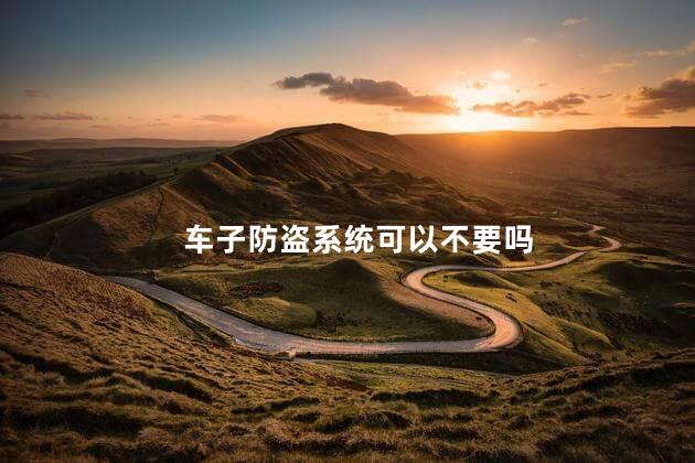 车子防盗系统可以不要吗