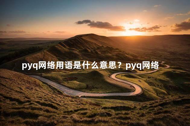 pyq网络用语是什么意思？pyq网络用语的含义是什么