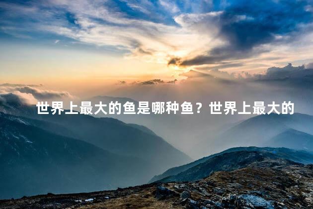 世界上最大的鱼是哪种鱼？世界上最大的鱼是什么？解密水中巨兽！