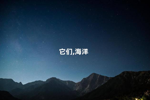 它们,海洋