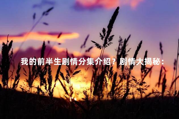 我的前半生剧情分集介绍？剧情大揭秘：我的前半生每集精彩剧情梳理