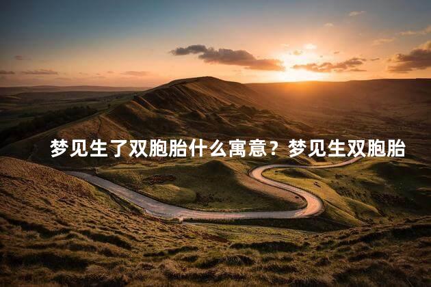 梦见生了双胞胎什么寓意？梦见生双胞胎,你的幸福加倍