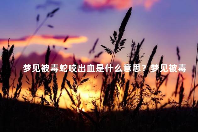 梦见被毒蛇咬出血是什么意思？梦见被毒蛇咬出血：解析潜在含义