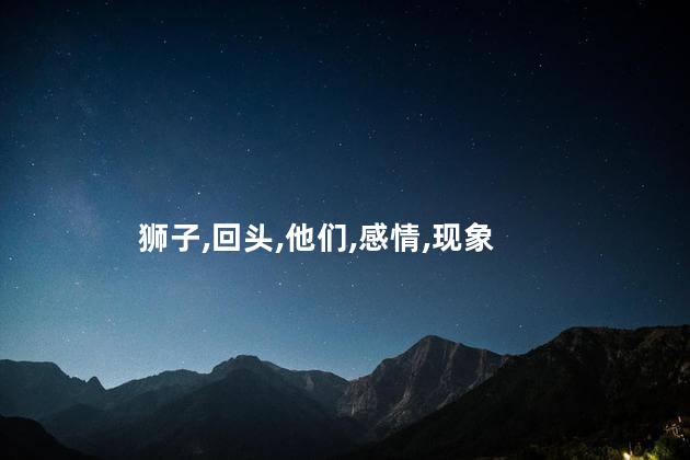 狮子,回头,他们,感情,现象