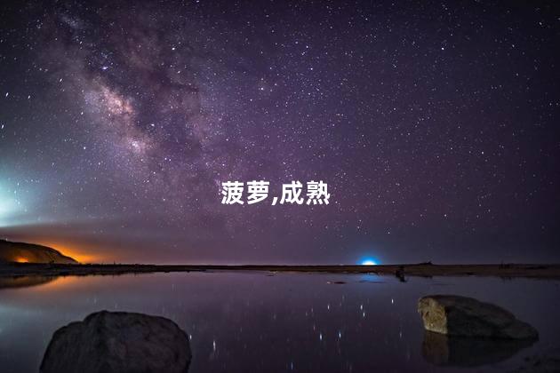 菠萝,成熟