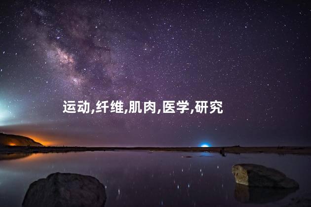运动,纤维,肌肉,医学,研究