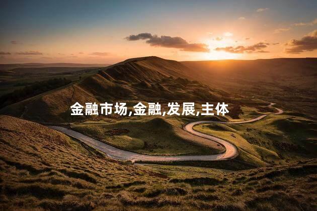 金融市场,金融,发展,主体